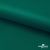 Ткань подкладочная Таффета, 19-5420, 53 г/м2, антистатик, шир. 150 см, вечнозеленый - купить в Орле. Цена 57.16 руб.