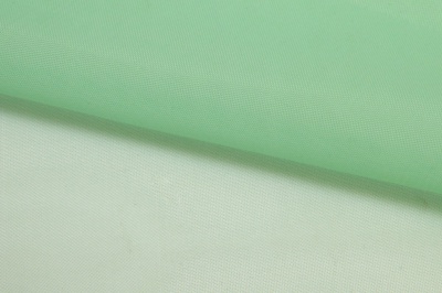Портьерный капрон 13-6009, 47 гр/м2, шир.300см, цвет св.зелёный - купить в Орле. Цена 143.68 руб.