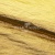 Текстильный материал "Диско"#1805 с покрытием РЕТ, 40гр/м2, 100% полиэстер, цв.5-золото - купить в Орле. Цена 412.36 руб.
