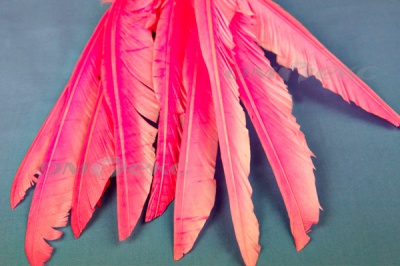Декоративный Пучок из перьев, перо 25см/розовый - купить в Орле. Цена: 14.40 руб.