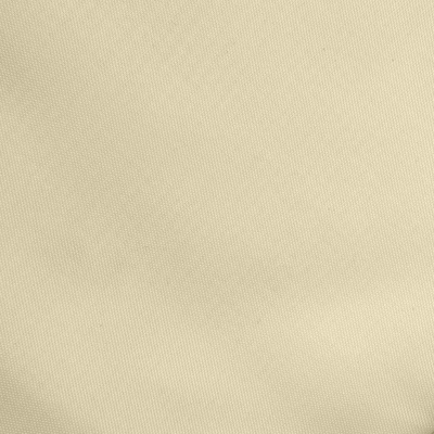 Ткань подкладочная Таффета 14-1014, антист., 53 гр/м2, шир.150см, цвет бежевый - купить в Орле. Цена 62.37 руб.