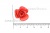 Украшение "Розы малые №1" 20мм - купить в Орле. Цена: 32.49 руб.