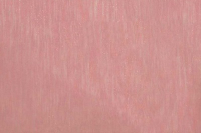 Органза однотонная "Амелия" С19 (Розовый) 280 см - купить в Орле. Цена 303.09 руб.