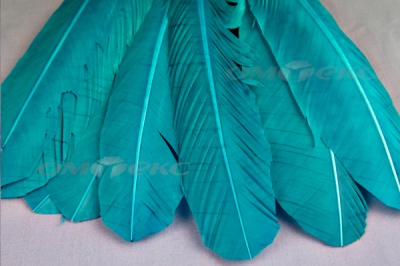 Декоративный Пучок из перьев, перо 24см/голубой - купить в Орле. Цена: 12.19 руб.
