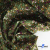 Ткань костюмная «Микровельвет велюровый принт», 220 г/м2, 97% полиэстр, 3% спандекс, ш. 150См Цв  #9 - купить в Орле. Цена 439.76 руб.