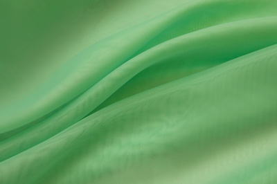 Портьерный капрон 15-6123, 47 гр/м2, шир.300см, цвет св.зелёный - купить в Орле. Цена 137.27 руб.