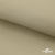 Ткань подкладочная TWILL 230T 14-1108, беж светлый 100% полиэстер,66 г/м2, шир.150 cм - купить в Орле. Цена 90.59 руб.
