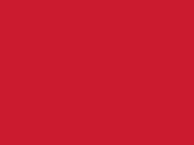 Сетка подкладочная красный, 60г/м2 (10 м/кг) - купить в Орле. Цена 885.73 руб.