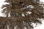 008-коричневый, Бахрома арт.001 шир.10см (упак.12+/-0,5м) - купить в Орле. Цена: 1 017.33 руб.