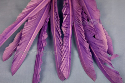 Декоративный Пучок из перьев, перо 25см/фиолетовый - купить в Орле. Цена: 12.19 руб.
