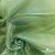Ткань органза, 100% полиэстр, 28г/м2, шир. 150 см, цв. #27 зеленый - купить в Орле. Цена 86.24 руб.