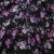 Плательная ткань "Фламенко" 20.1, 80 гр/м2, шир.150 см, принт растительный - купить в Орле. Цена 243.96 руб.