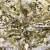 Трикотажное полотно, Сетка с пайетками, шир.130 см, #315, цв.-белый/золото - купить в Орле. Цена 693.39 руб.
