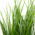 Трава искусственная -4, шт  (осока 50 см/8 см  7 листов)				 - купить в Орле. Цена: 130.73 руб.