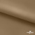 Ткань подкладочная Таффета 17-1327, антист., 54 гр/м2, шир.150см, цвет св.коричневый - купить в Орле. Цена 65.53 руб.